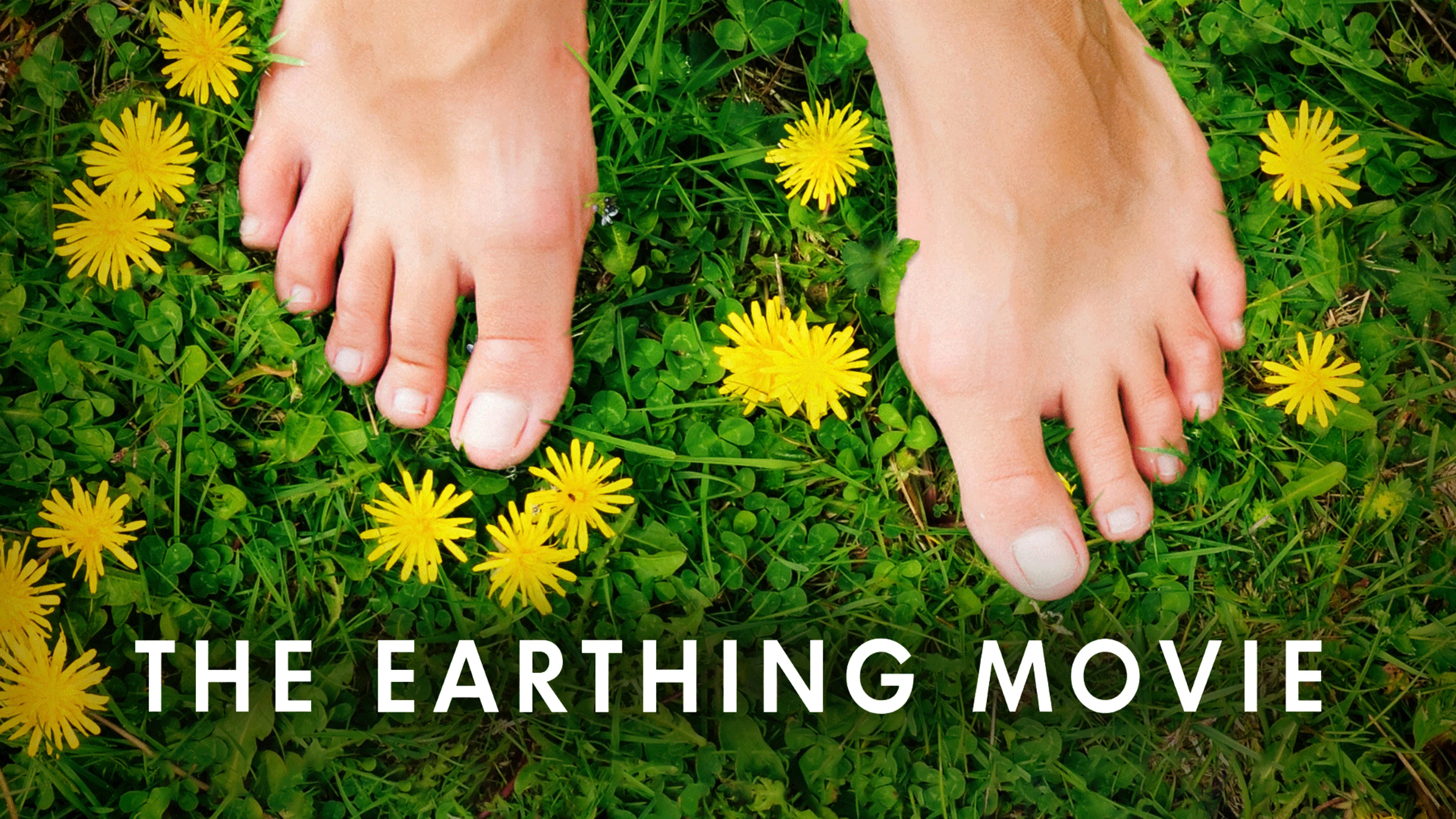 The Earthing Movie poster